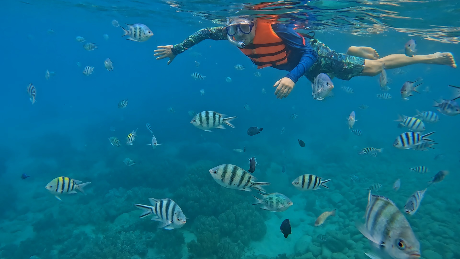 Tour dã ngoại nha trang Tour dã ngoại nha trang